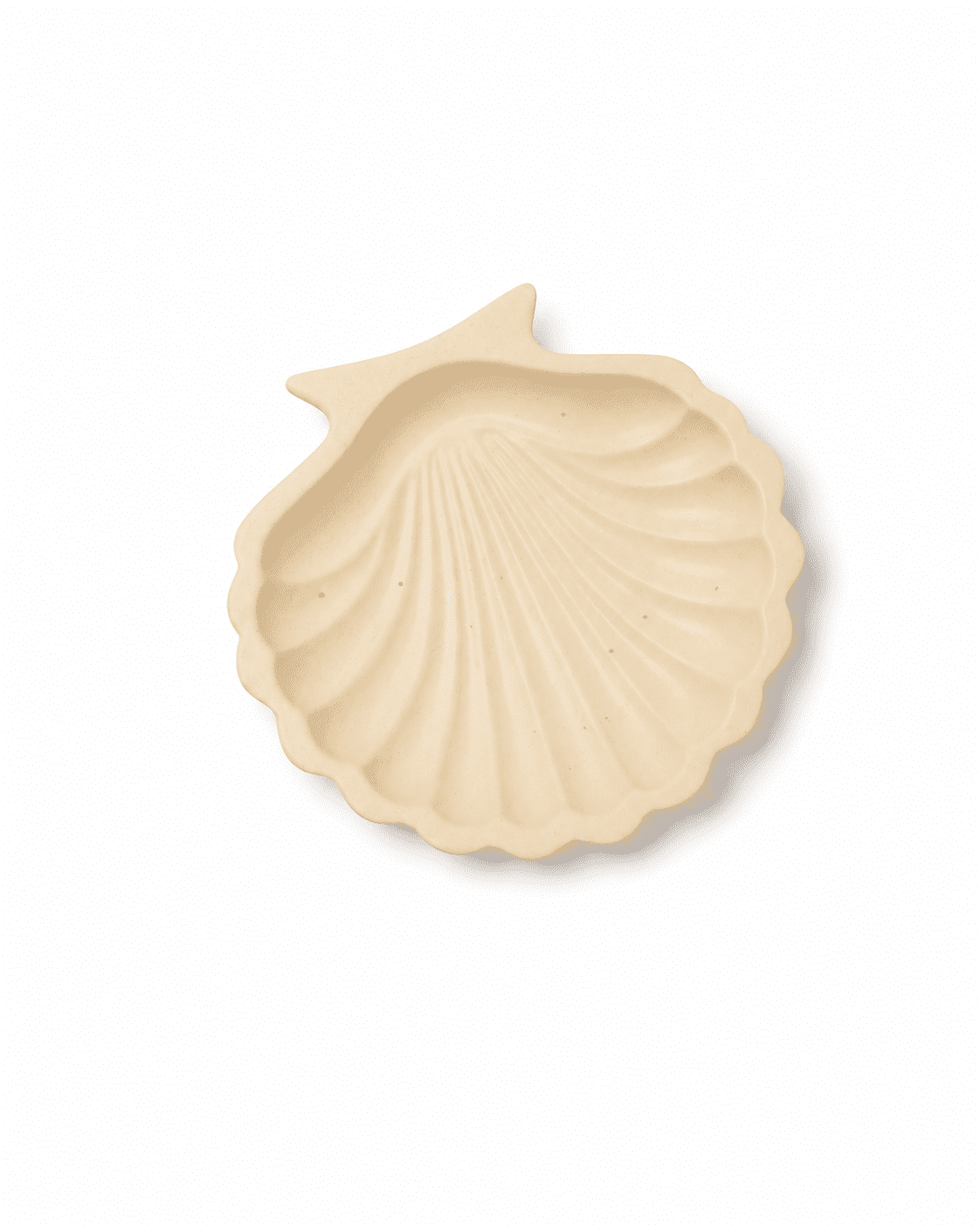Shell Tray