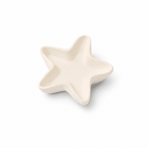 Star Fish Holder