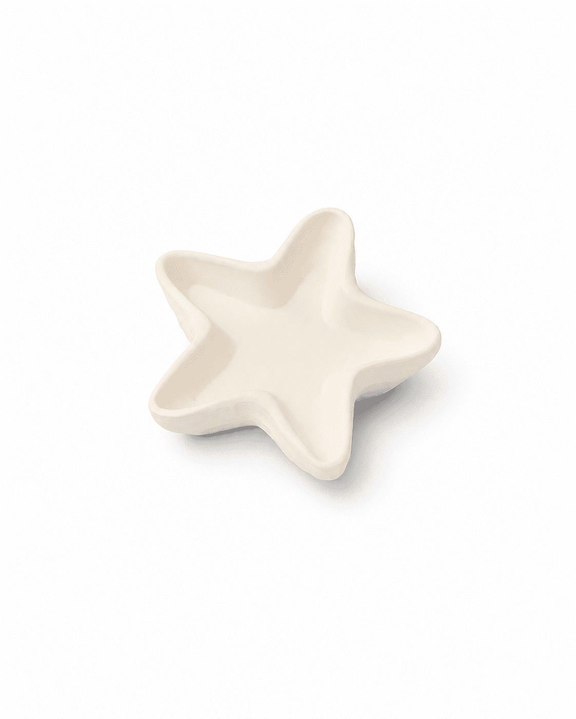 Star Fish Holder